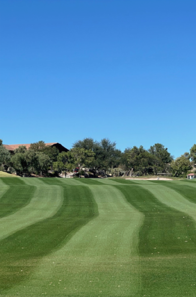 T18 green