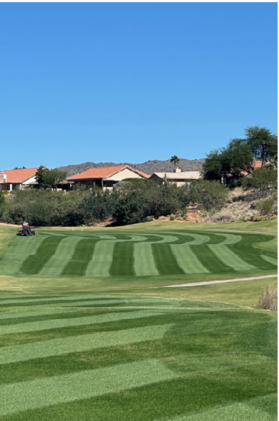 T5 Fairway