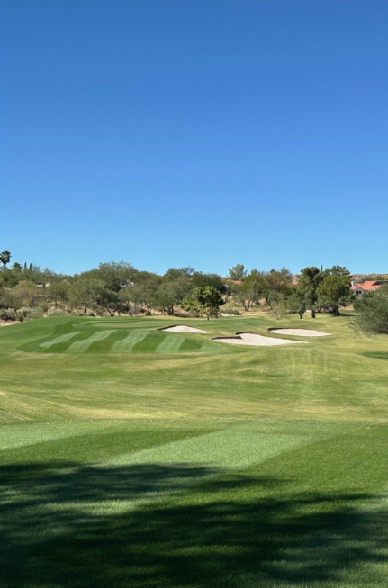 T8 Green